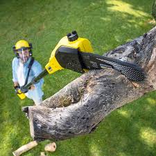 Best Pest Control for Lawns  in Twain Harte, CA